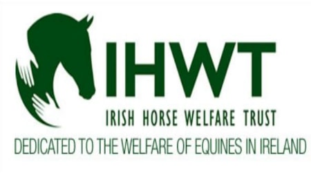 The Irish Horse Welfare Trust