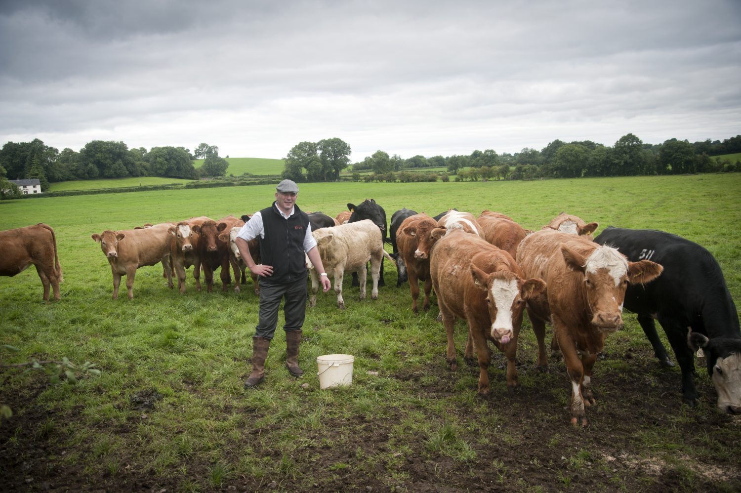 one of the Irish beef farmers you may visit on your tour