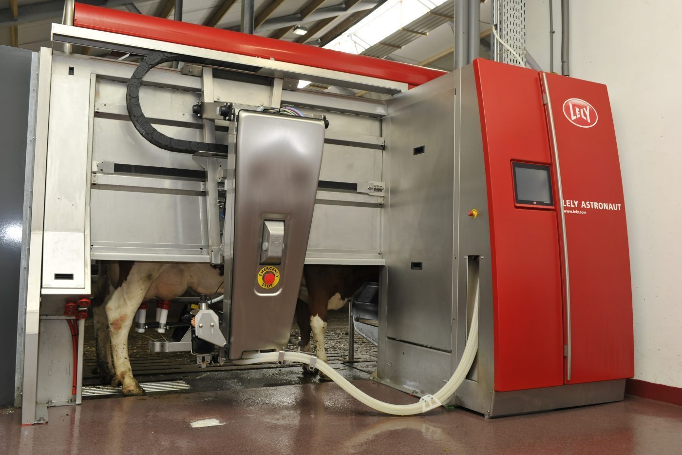 state-of-the-art automatic milking machine on an Irish dairy farm