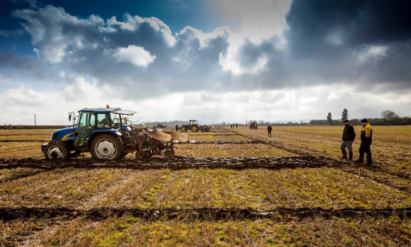 A competitor at the National Ploughing Championship here in Ireland