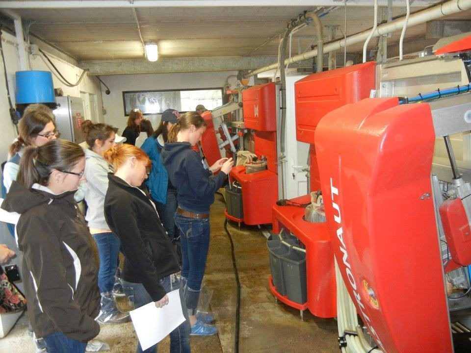 Robotic milking on an Irish Dairy Farm