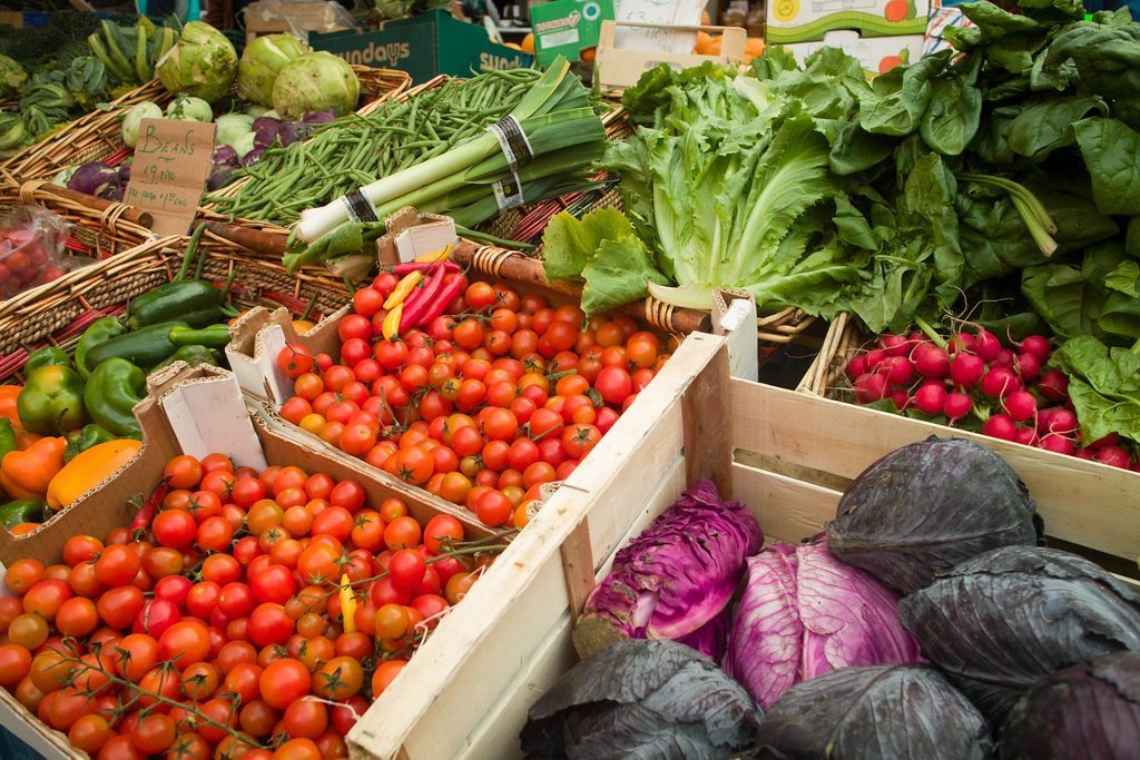 some of the crops you'll see being produced on a horticulture tour of Ireland