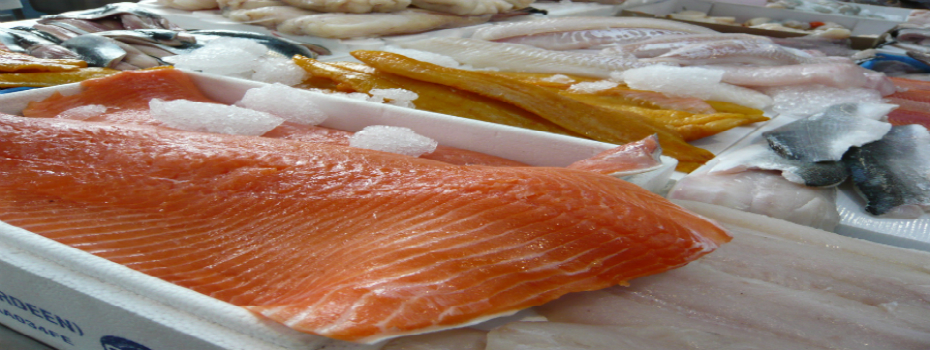 Salmon farm produce as seen on the aquaculture tours of ireland.