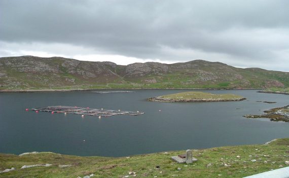 A typical salmon farm on the aquaculture tours from agri tours ireland