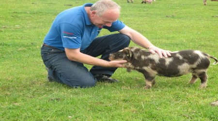 Blackwater Open Farm, Enniscorthy, Co. Wexford 