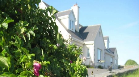 Hill Brook Farm, Ennistymon, Co. Clare 